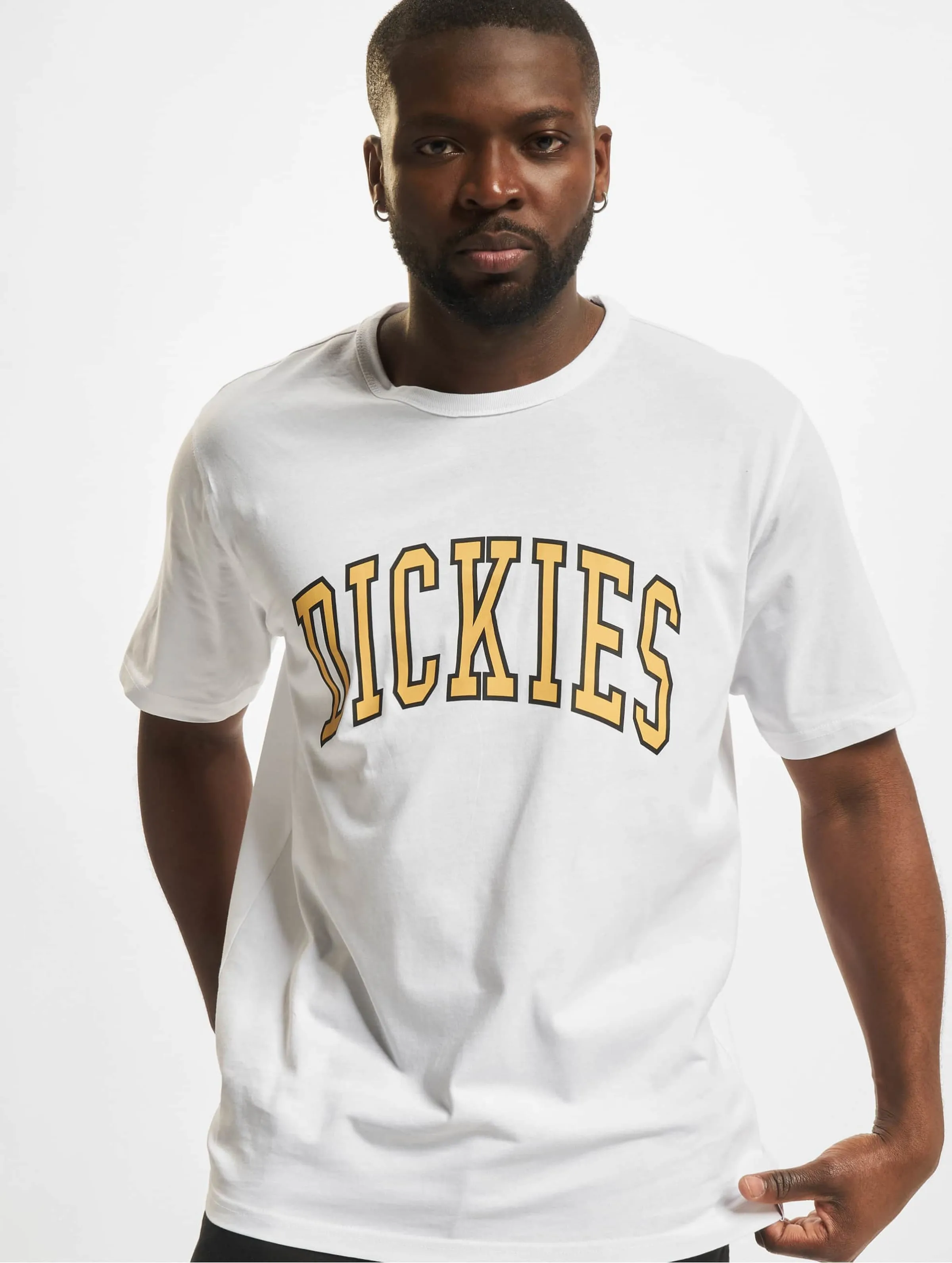 DICKIES DICKIES AITKIN TSHIRT