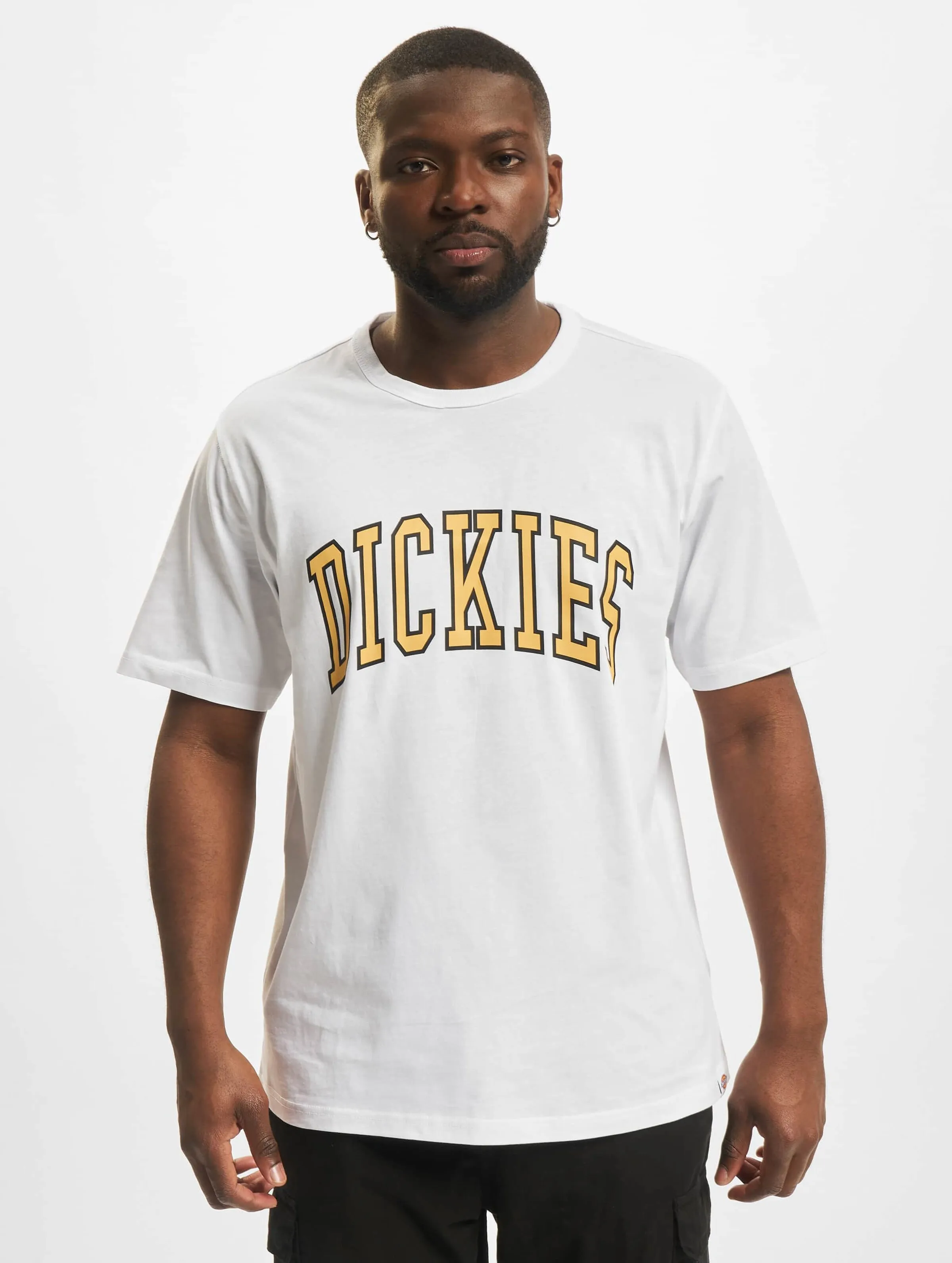 DICKIES DICKIES AITKIN TSHIRT