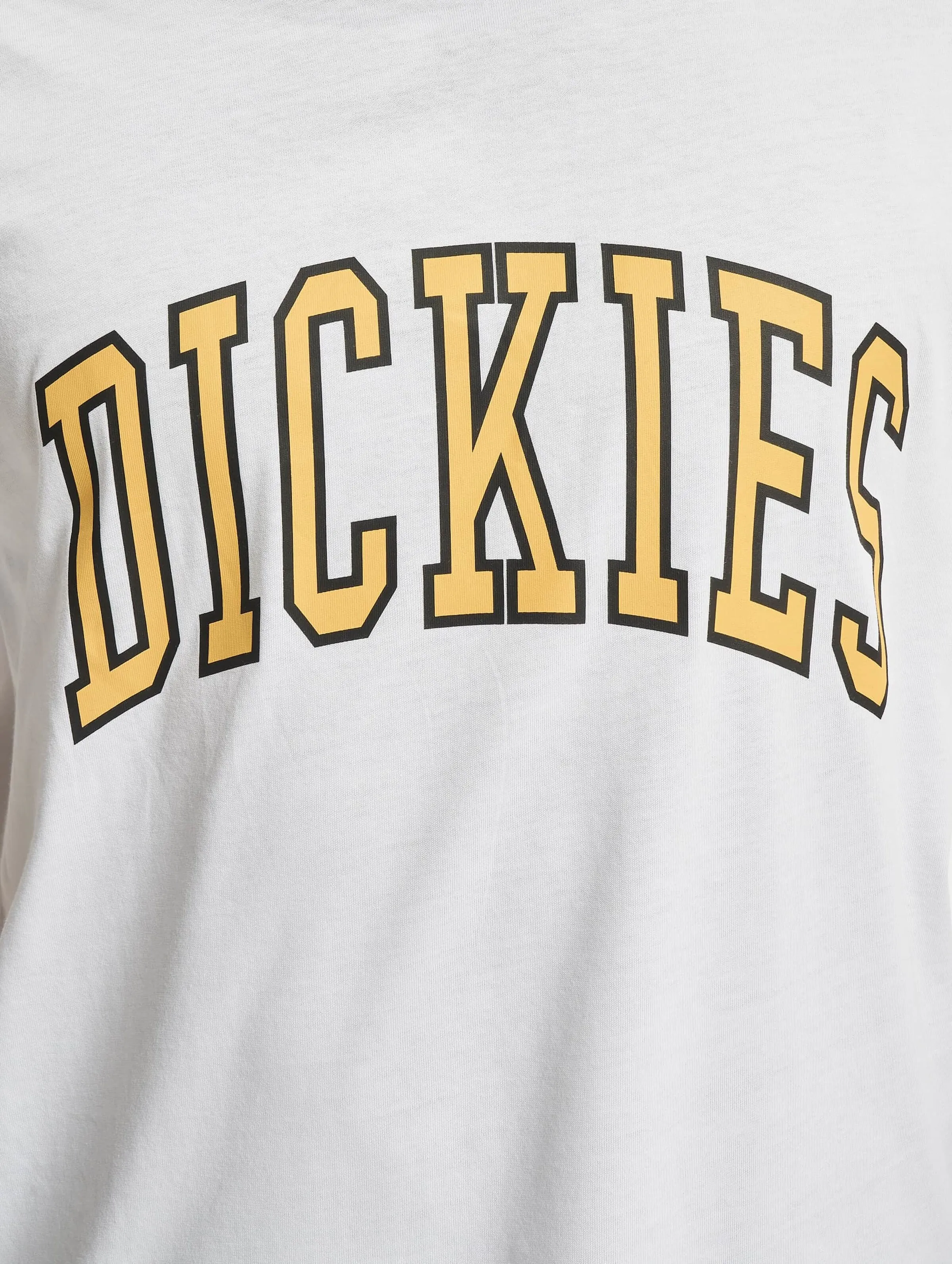 DICKIES DICKIES AITKIN TSHIRT
