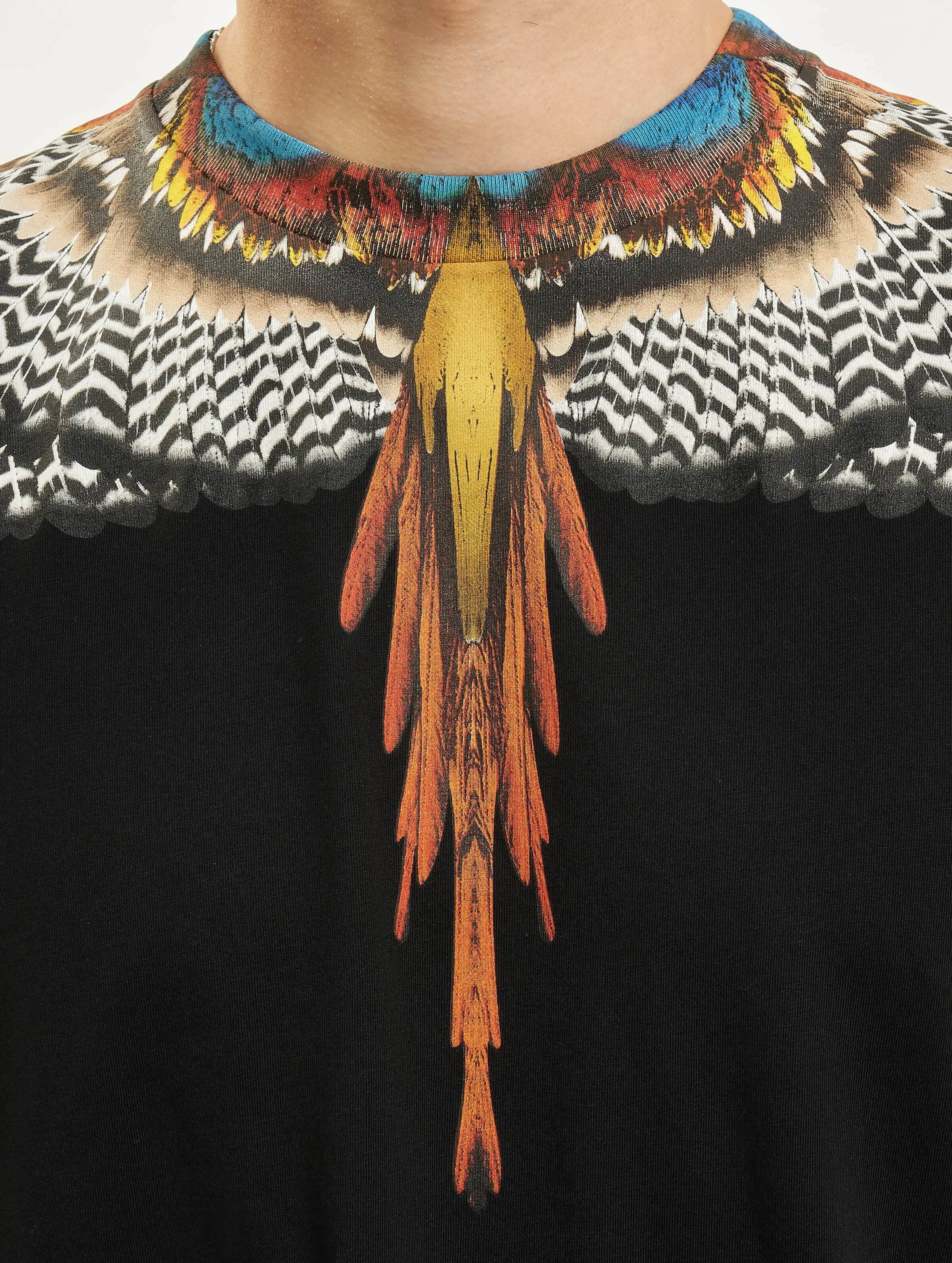 Grizzly Wings Basic