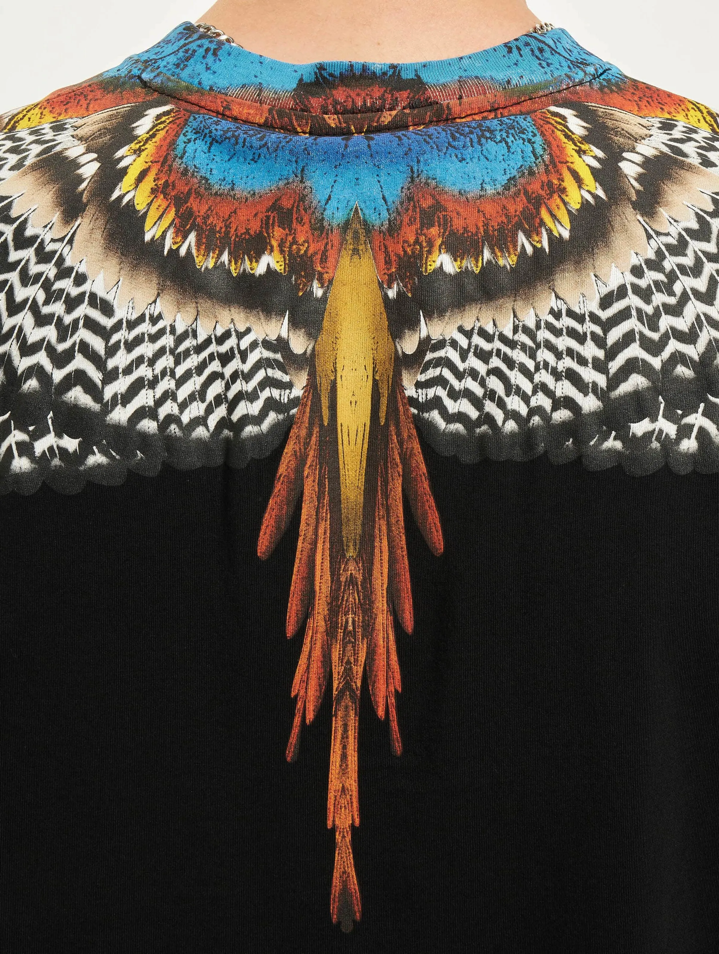 Grizzly Wings Basic