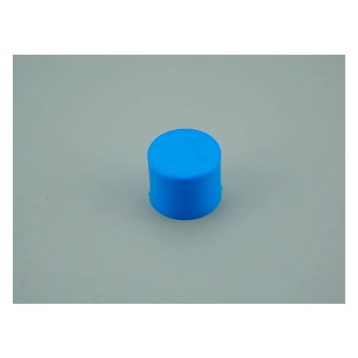 Tapón mango  (recambio nº2) AstralPool