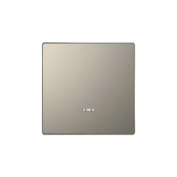 TECLA SIMPLE CON VISOR NIQUEL SCHNEIDER DLIFE